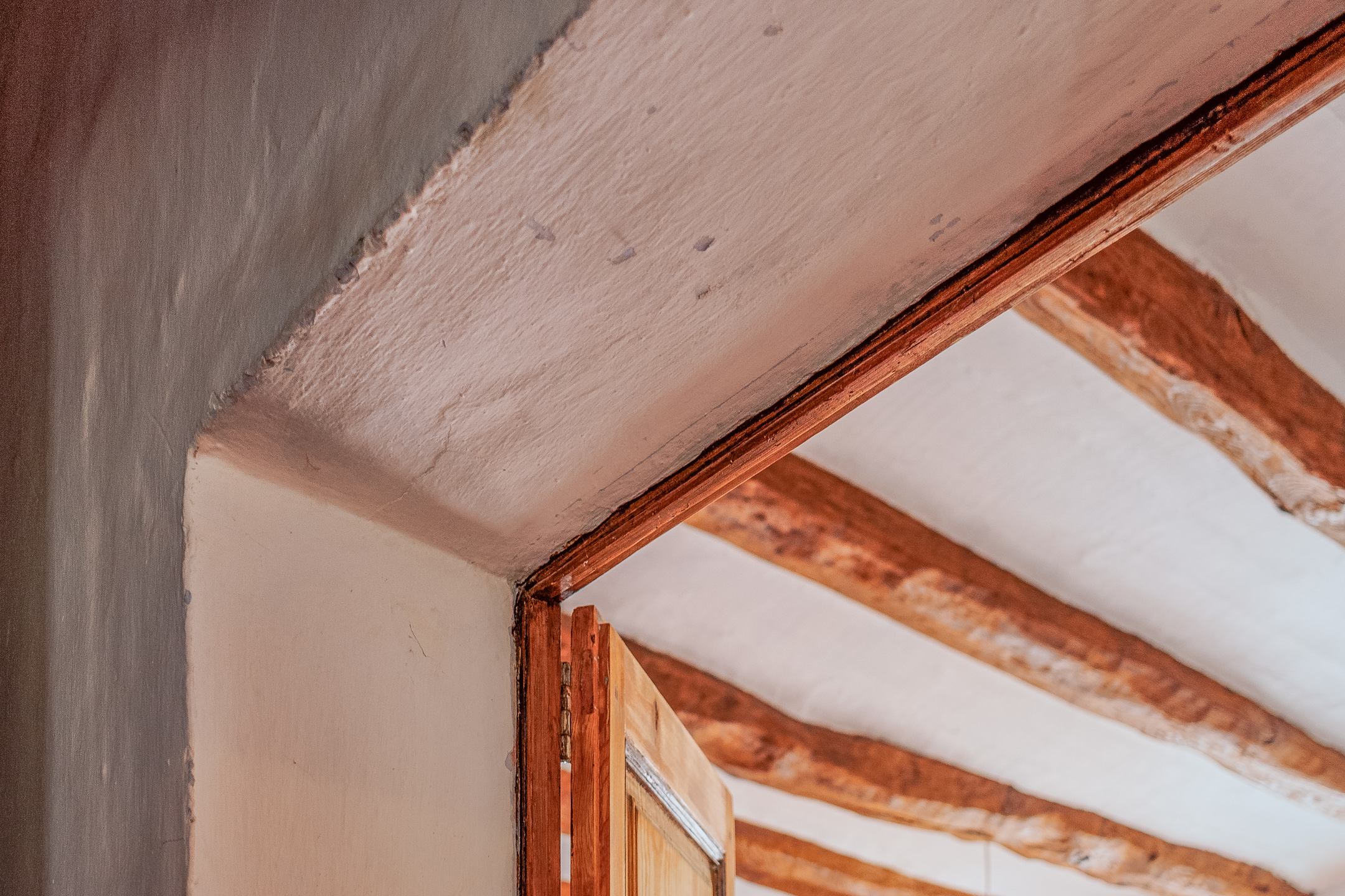 Entry Ceiling Cal Guixater 2