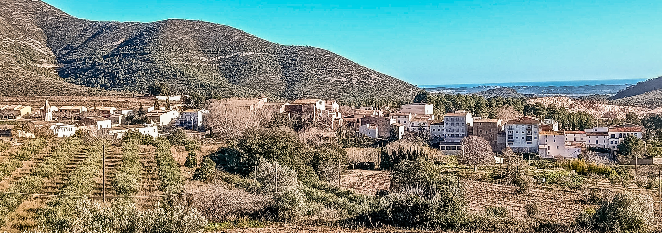 Overview Dorp 2 Cal Guixater 2